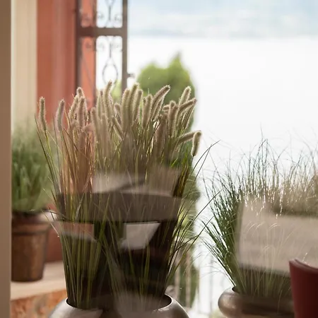 Otel Leopardi 4s - Adults Only 4*